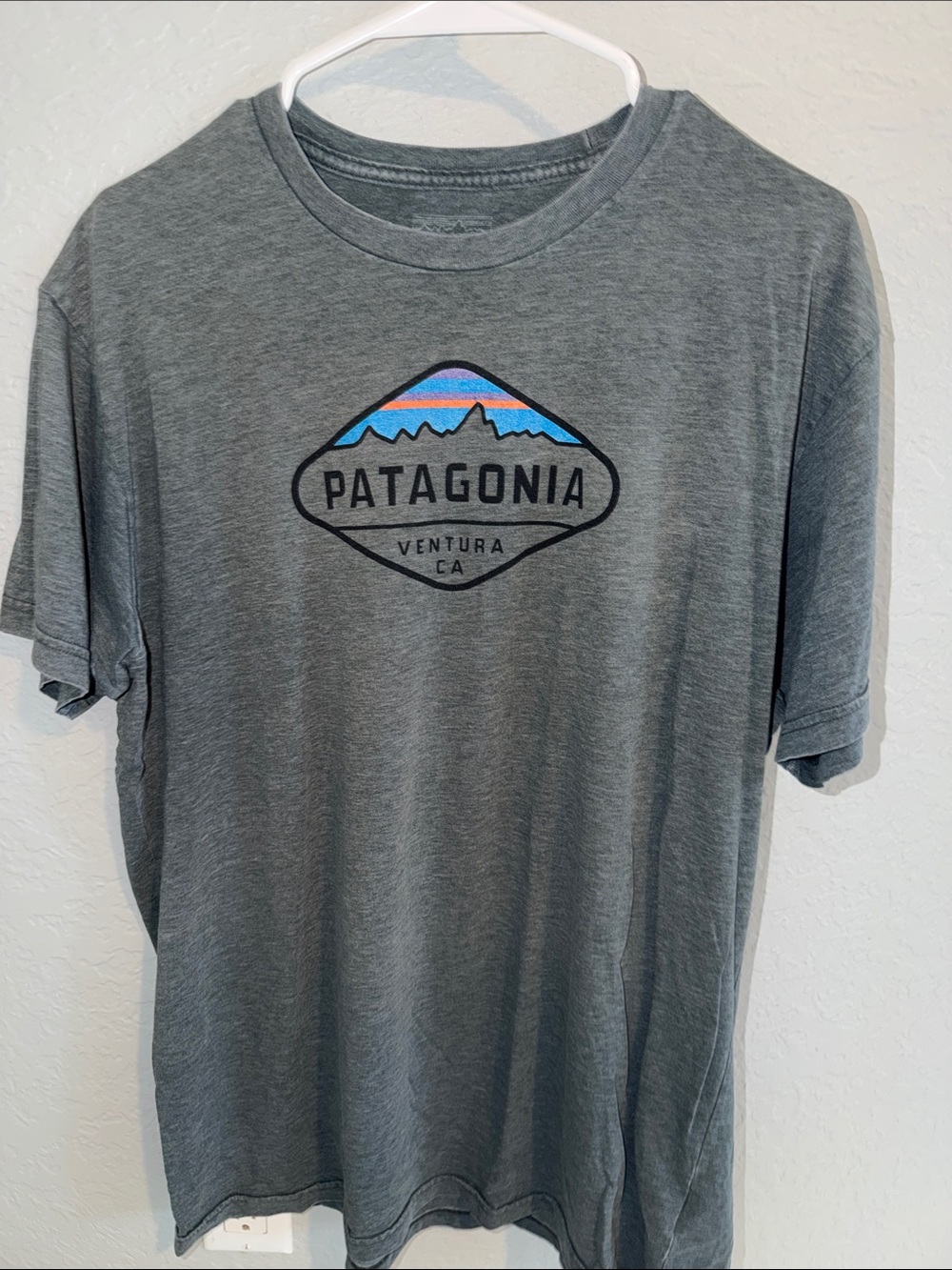 Patagonia Short-Sleeve Grey Logo Tee with Color Stripe Graphic